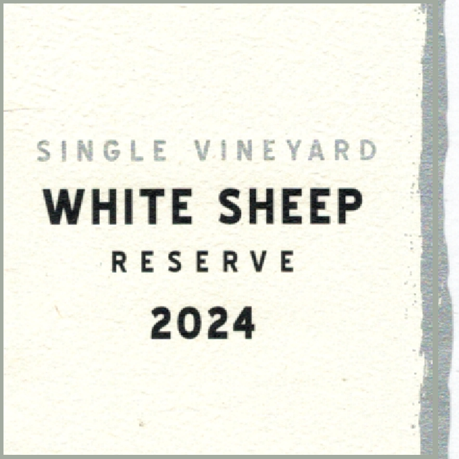 2024 White Sheep